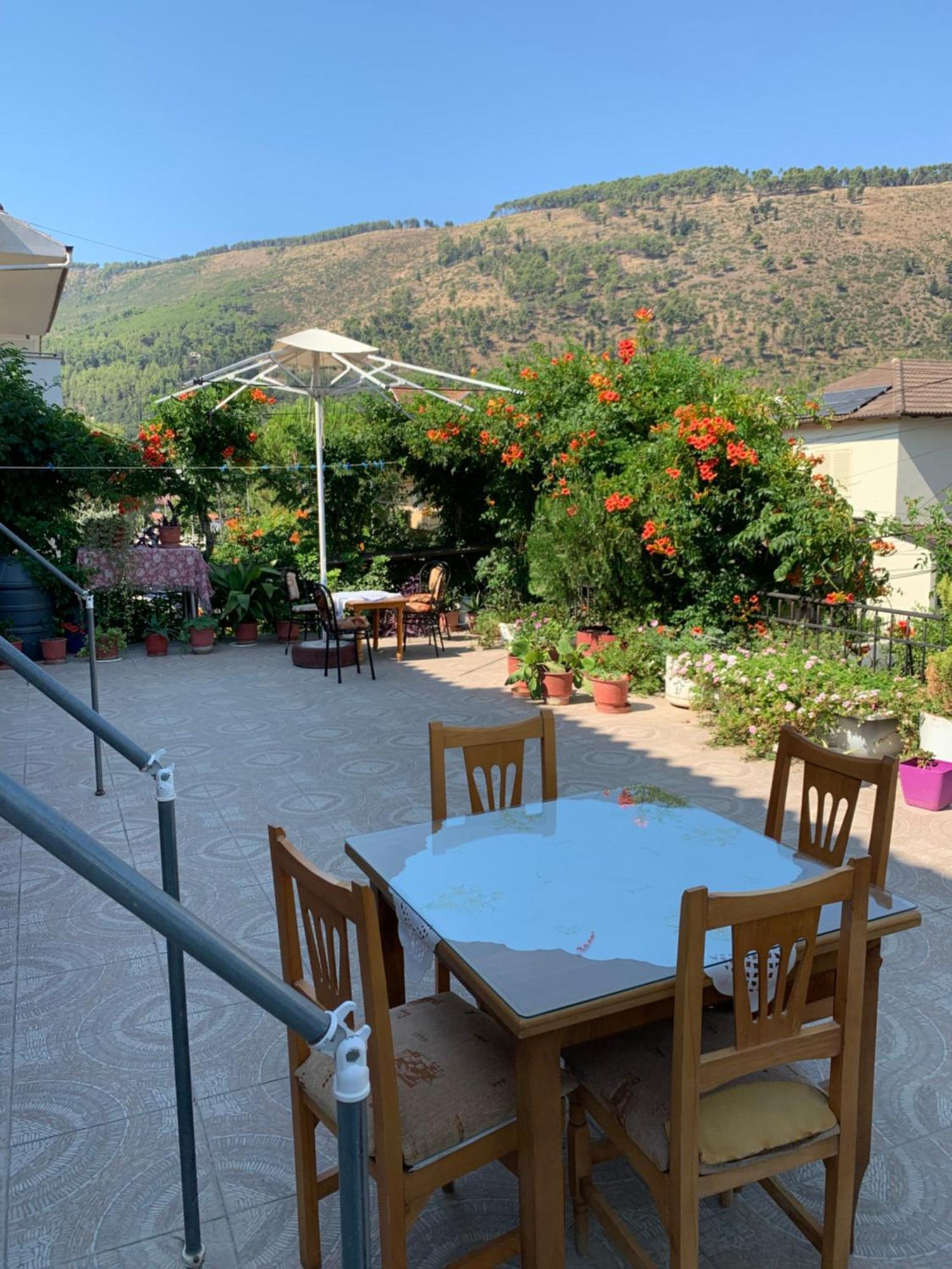 Guesthouse Katerina Berat Buitenkant foto