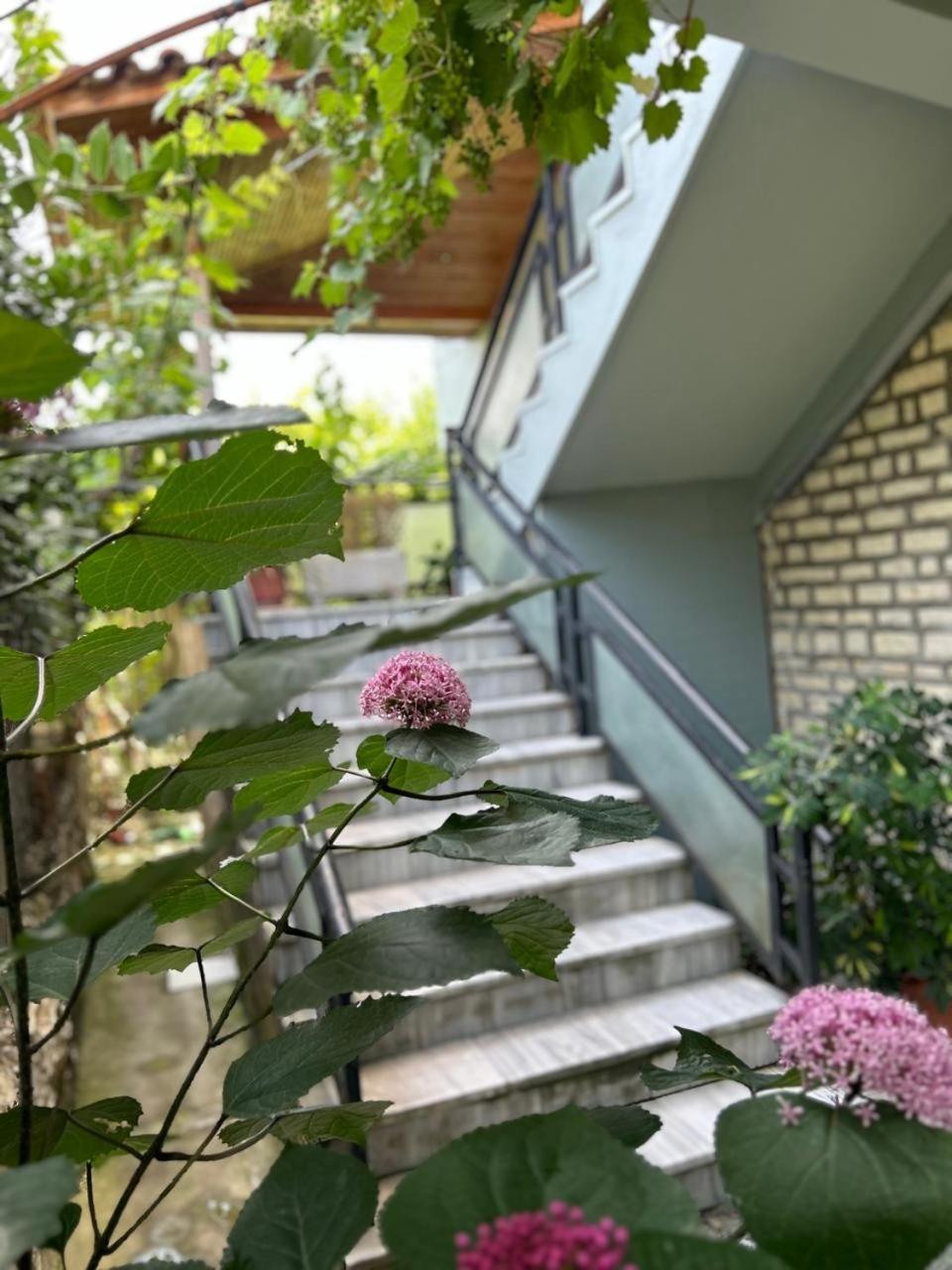 Guesthouse Katerina Berat Buitenkant foto