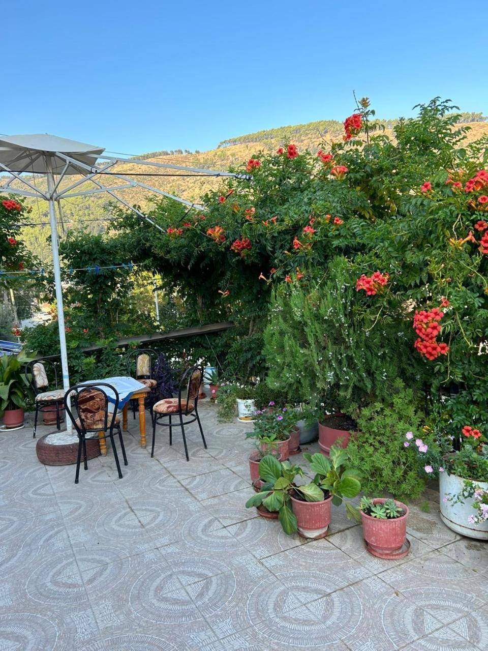 Guesthouse Katerina Berat Buitenkant foto