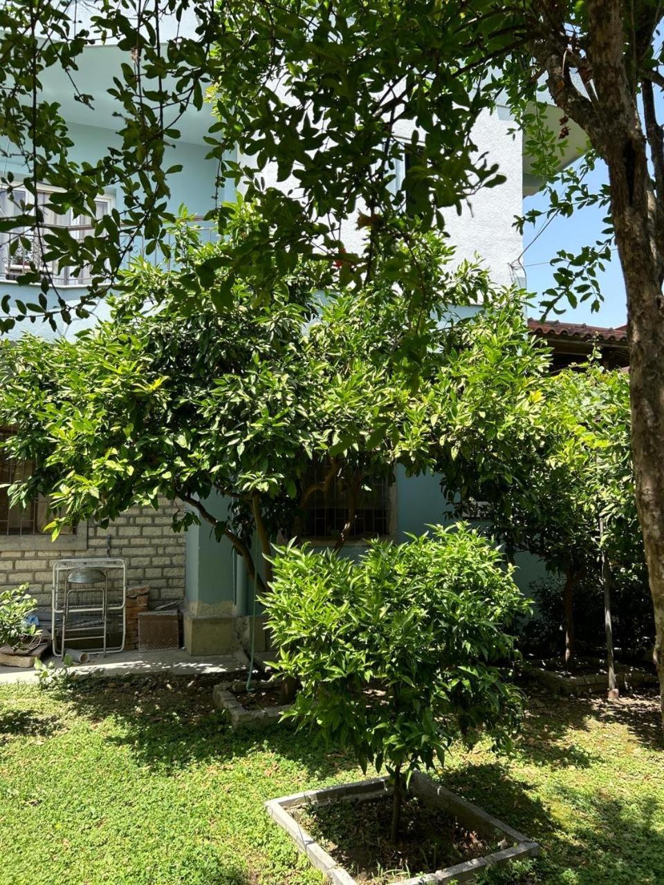Guesthouse Katerina Berat Buitenkant foto